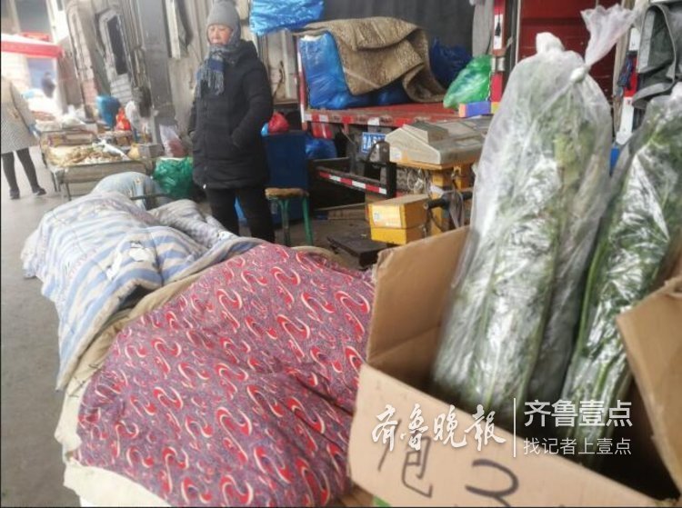 挣钱不易!严寒下济南市场蔬菜盖棉被卖