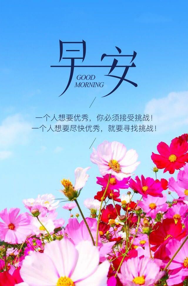 早上好唯美图片 早安心语励志问候语