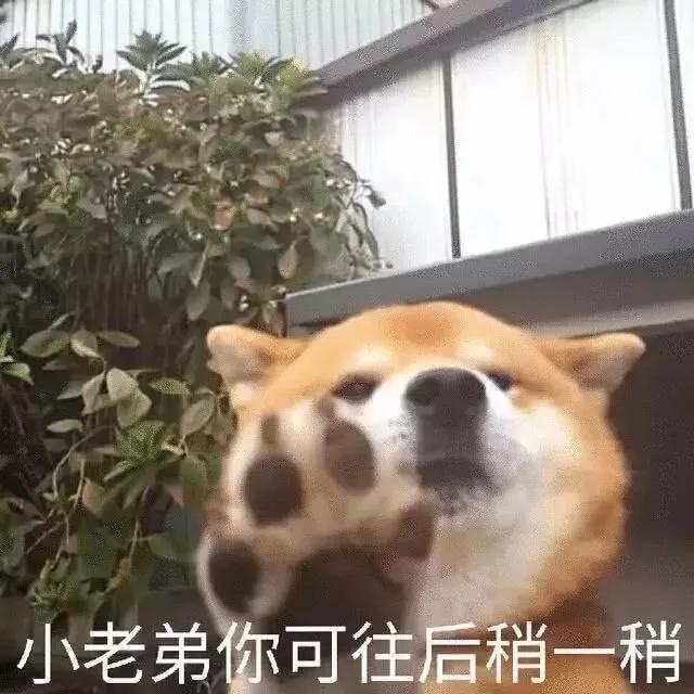 沙雕,表情包,土味情话,创意,精选