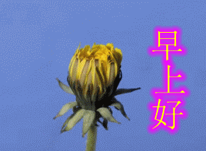 清晨最美早上好问候动态表情图片 ,清晨送朋友的暖心问候祝福