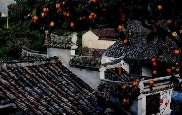 宁波余姚最美七大古村落,这些才是值得看的风景