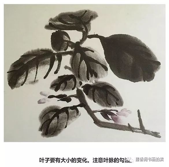 国画技法:写意茄子的画法