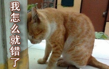 好哒好哒,今天小编就给大家更新一下猫咪表情包动图 萌宠萌出新高度