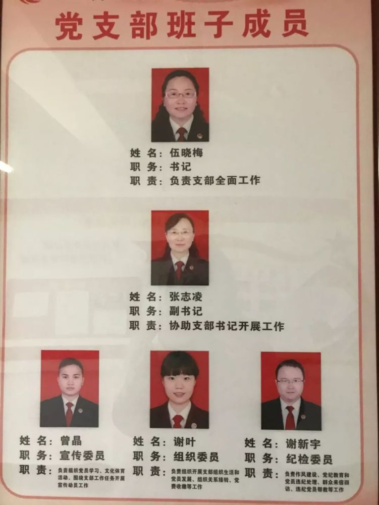 成员 (三)积极作为,充分发挥模范作用 4个在职支部共开展主题党日34次
