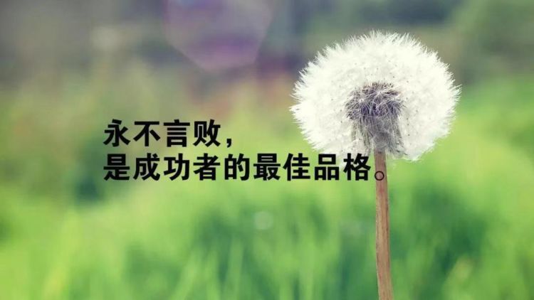 简短好听的女生微信签名,唯美优雅,保准看一眼就爱上