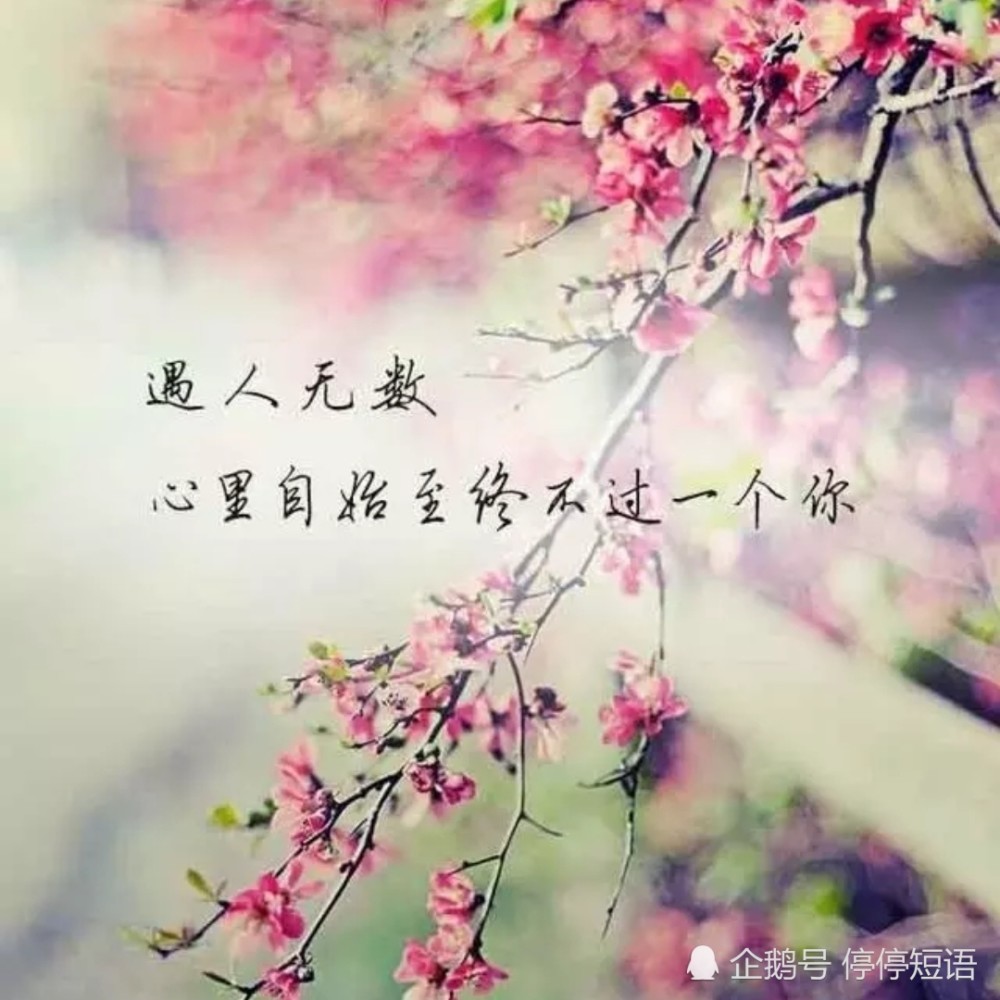 其实,我们都不是凉薄之人,只是爱过的心,再无法回到如初!