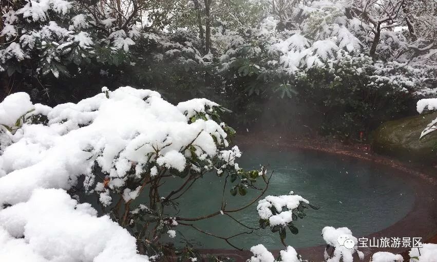 彭州下雪啦,龙门山太阳湾下雪啦!