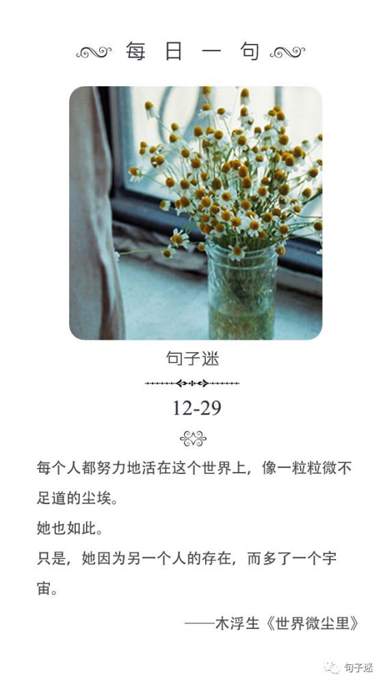每日一句:每个人都努力地活在这个世界上,像一粒粒微不足道