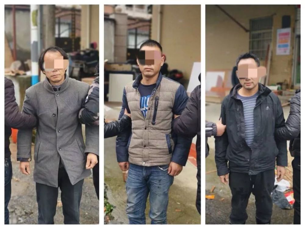 明经胡人口_人口普查(3)