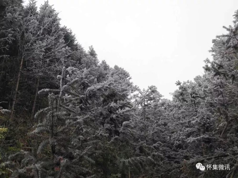 怀集洽水石莹又下雪了!一起看看怀集的冰雪风光