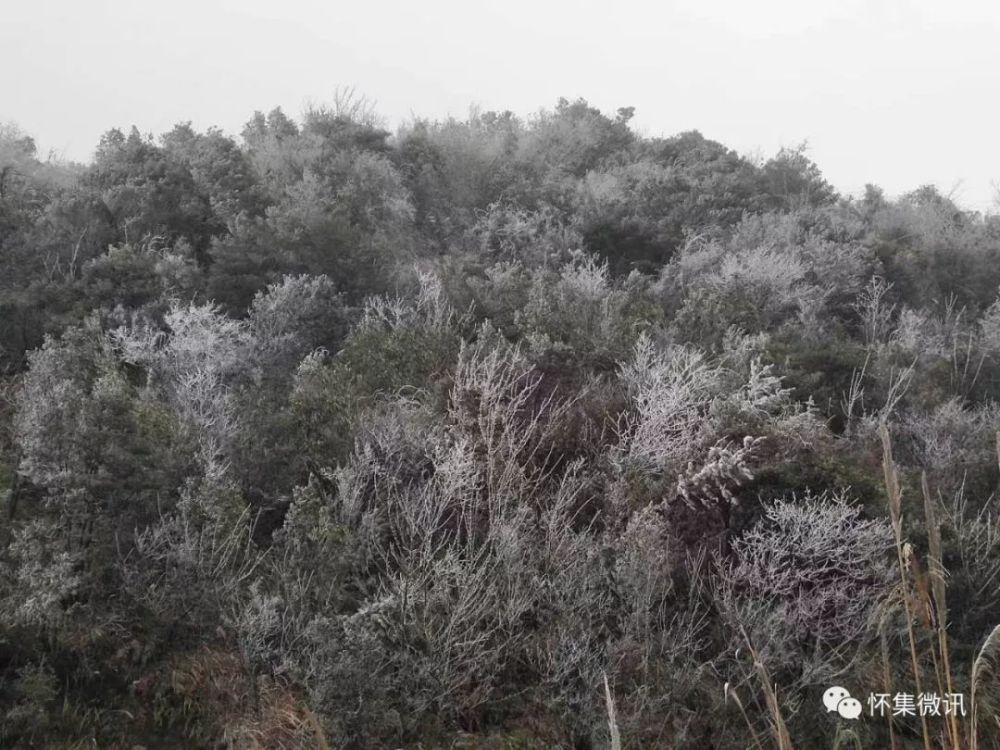 怀集洽水石莹又下雪了!一起看看怀集的冰雪风光