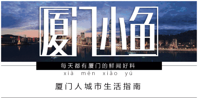 厦门第一家！一位爱狗的姑娘和她的治愈系柴犬们的故事