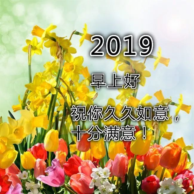 新的一年早上好祝福语 2019早上好图片表情图片带字