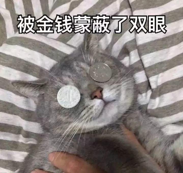 被金钱蒙蔽了双眼