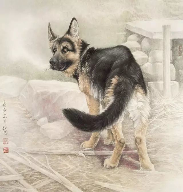 工笔画狗的画法,超详细步骤!