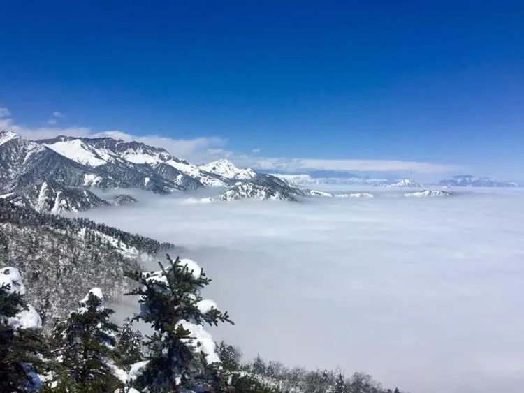 西岭雪山,别样的雪域高原