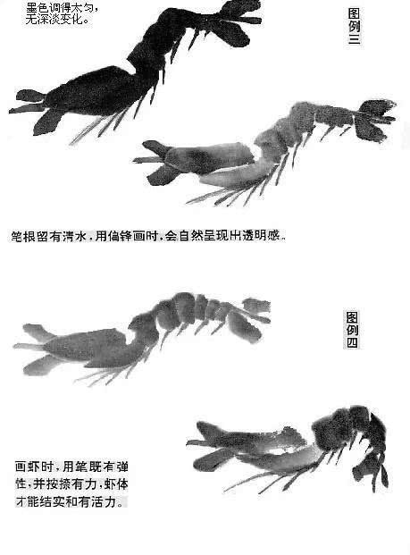 国画教程:水墨虾的画法