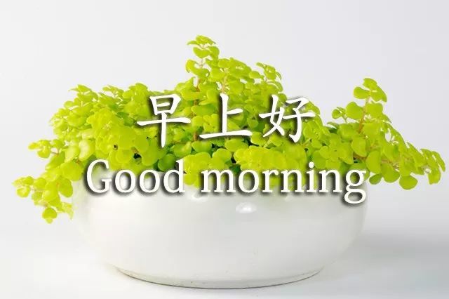早上好,最美祝福短信送上!致我在牵挂的人!