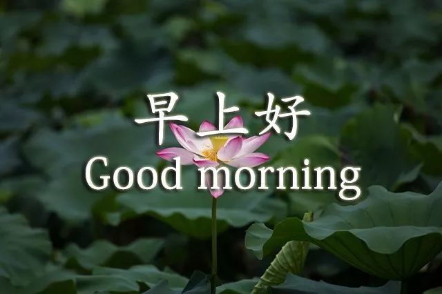 早上好,最美祝福短信送上!致我在牵挂的人!