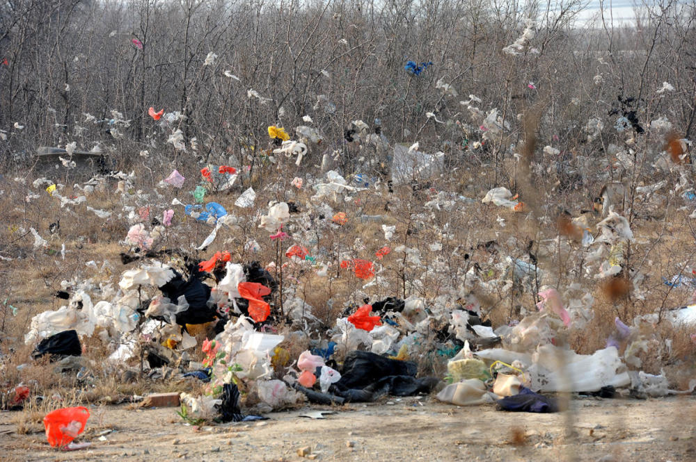 塑料袋,垃圾袋,白色垃圾,农村垃圾,环境问题