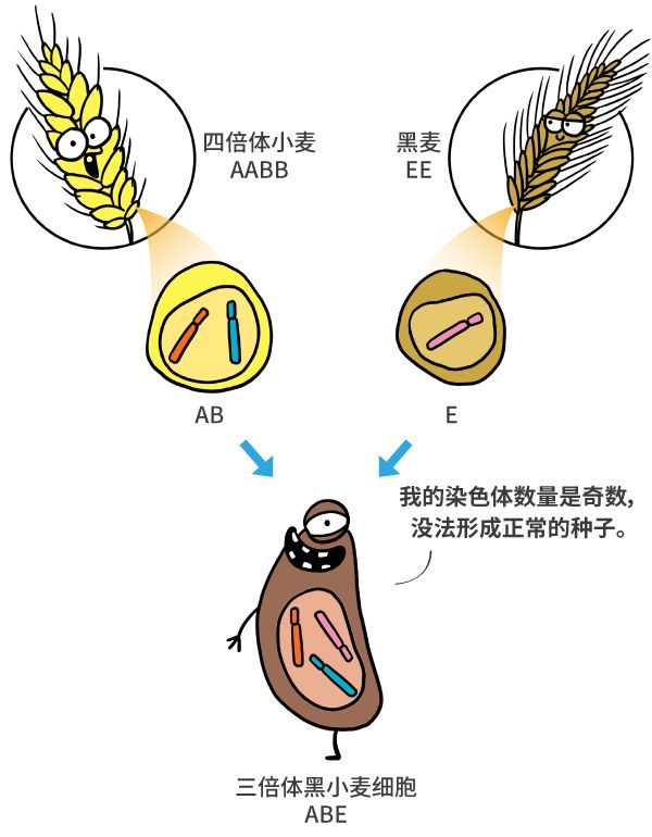 改变你认知的转基因漫画