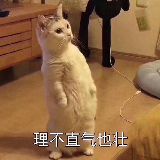 精选斗图怼人专用表情包:再跟爸爸顶嘴试一下?爸爸对你很失望
