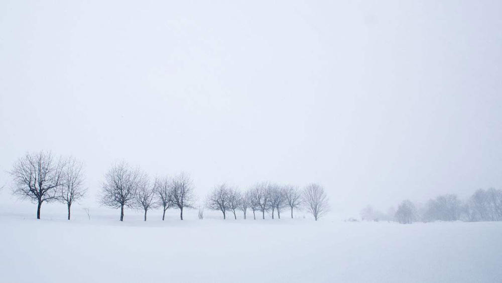 雪景拍摄,3个技巧让你的照片高大上