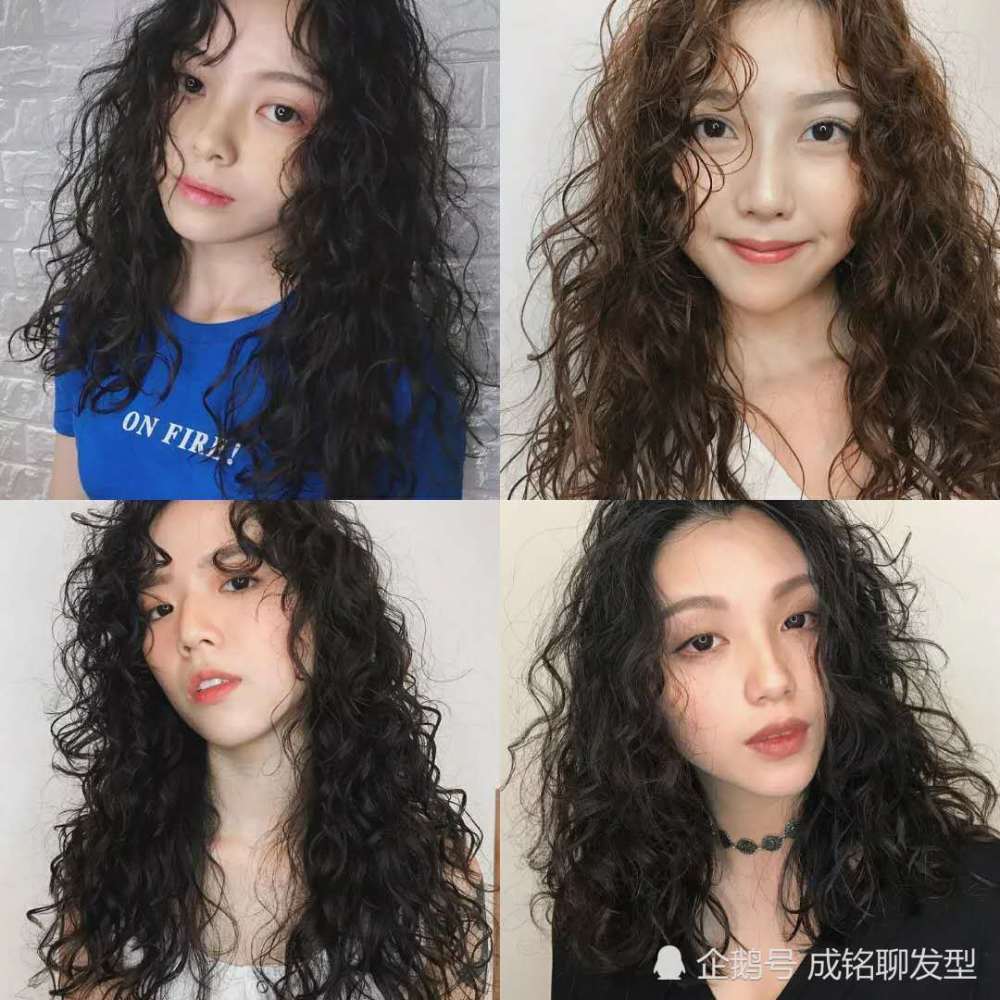 爆炸,顾客,羊毛卷发型,泡面头,方便面头