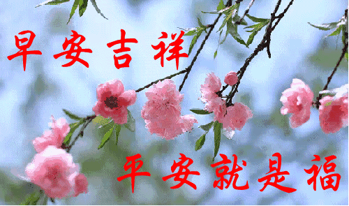 2019最美早上好动态表情图片 最新版早安问候动态图片