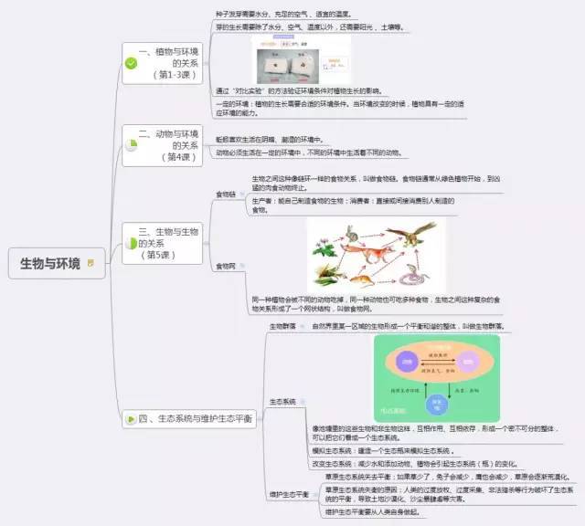 第一单元《生物与环境》 思维导图