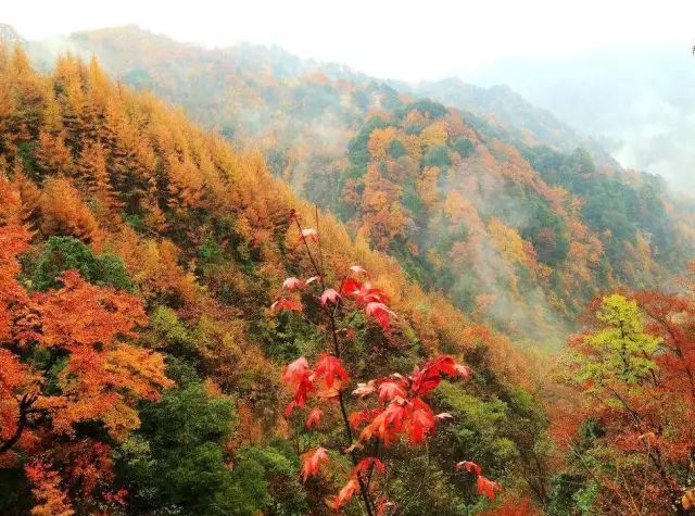 七彩光雾山美景