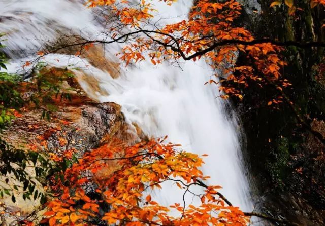 七彩光雾山美景