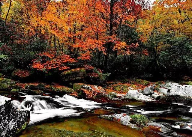 七彩光雾山美景