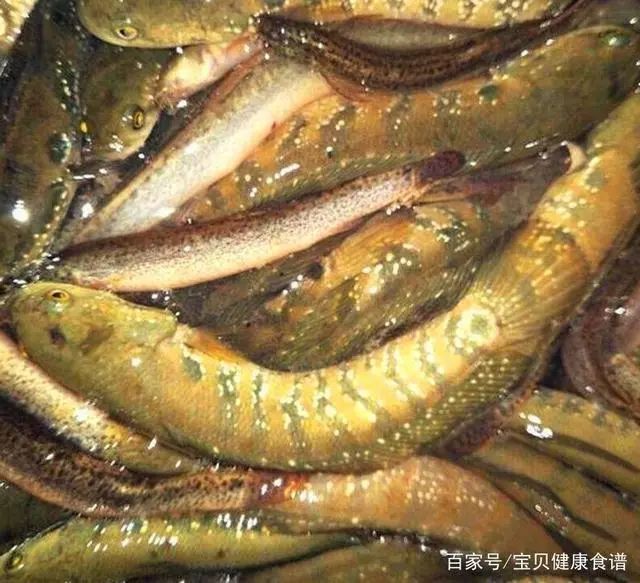 ica_歌儿