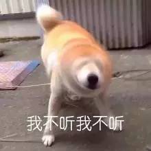 年入12万算高收入?上海生活成本多高你们知道