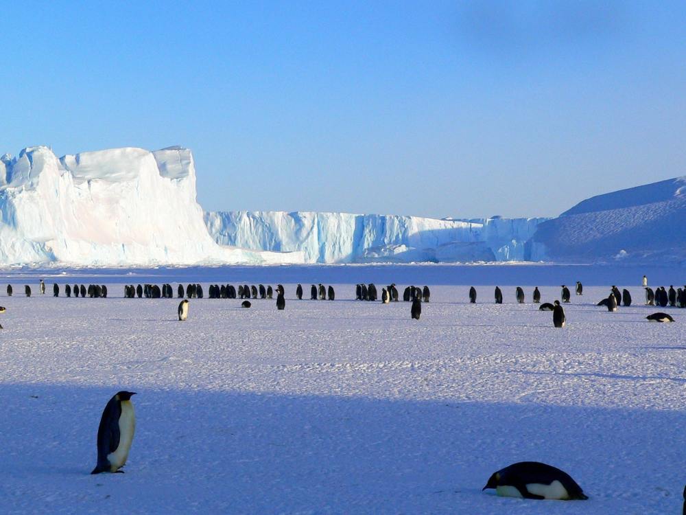 南极洲旅游越来越危险,没有数字限制不是首要原因