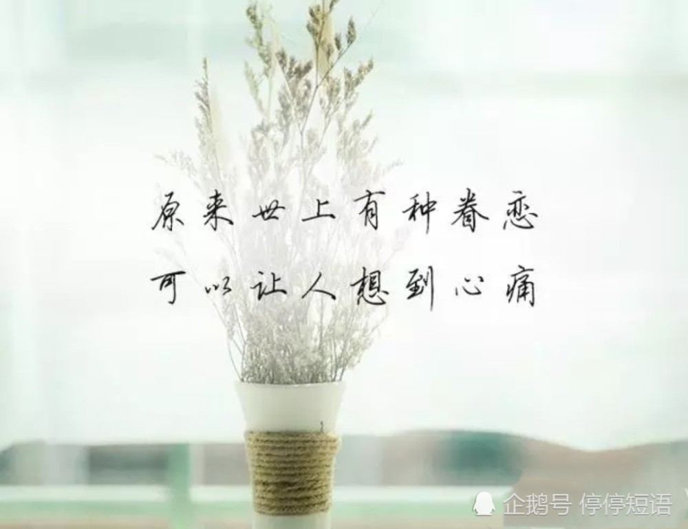 原来,爱与不爱,不过一道墙的距离,我们始终跨不过