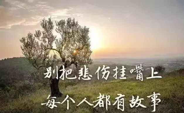 适合发朋友圈最火的人生哲理短句,句句治愈心灵!