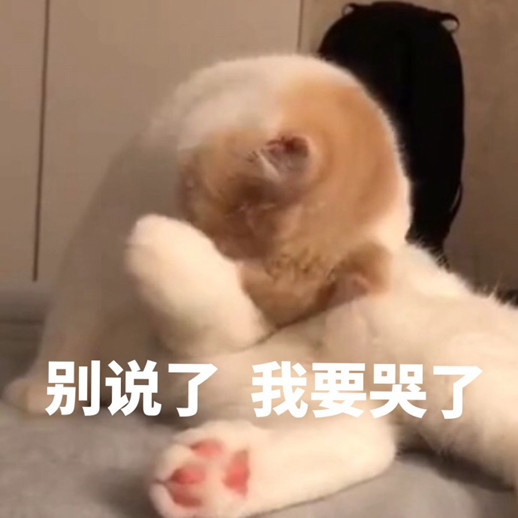 你别哭了.
