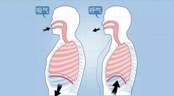 不要小看医生的听诊器,你的小秘密都能被听到哟