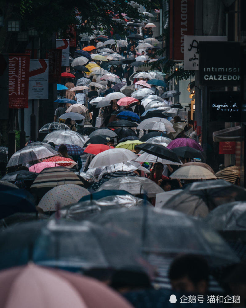 满是雨伞的街道