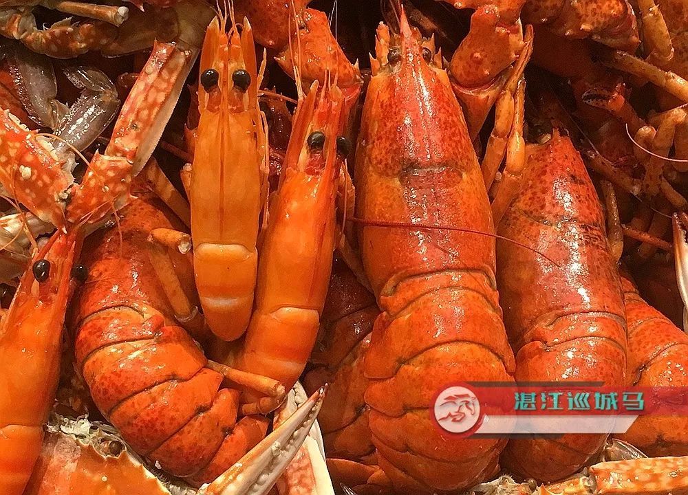 骄傲!湛江海鲜美食将登上央视2019年大型贺新春节目