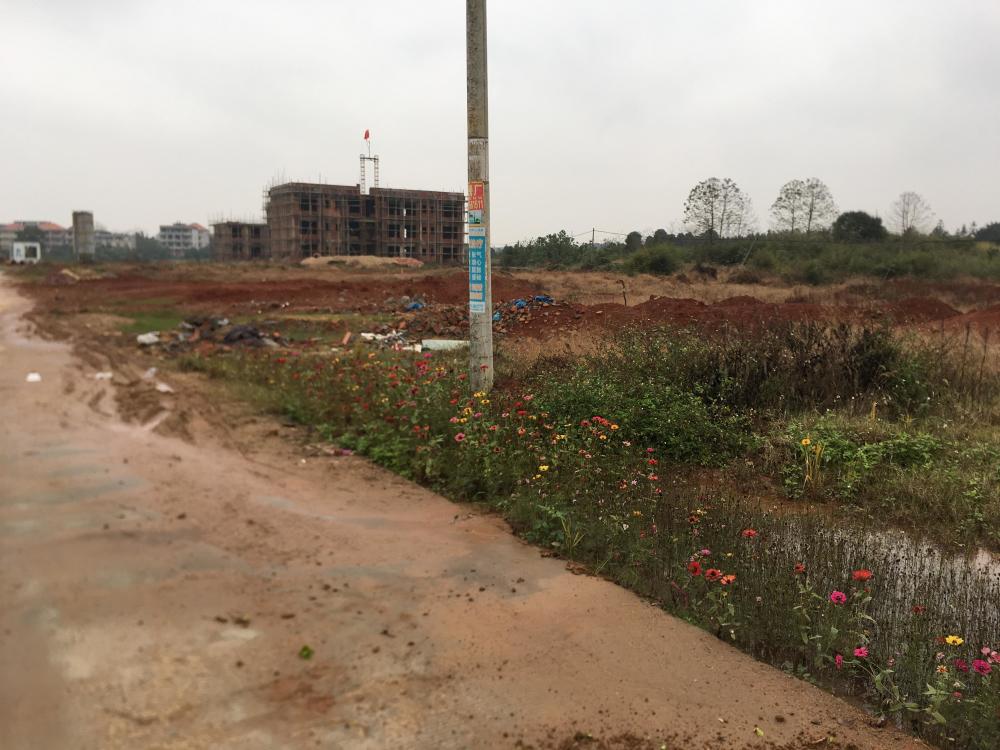 重磅,抚州市东临新区三宗商住用地将上市拍卖