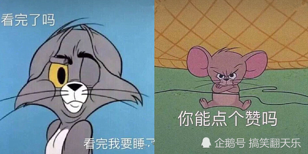 猫和老鼠,nice,表情包