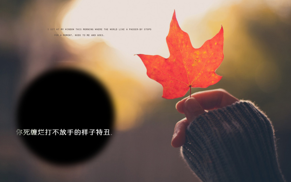 语录.头像壁纸:你总会输给一个人,即使你来不及承认!