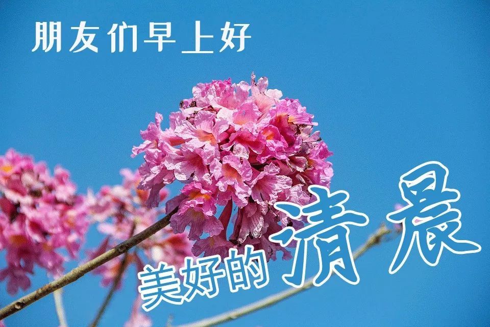 人生如梦简谱_人生如梦图片(3)