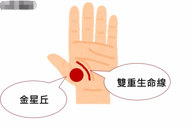手藏金星环 特别好色 从 5种手相 中看透你2019桃花运 看点快报