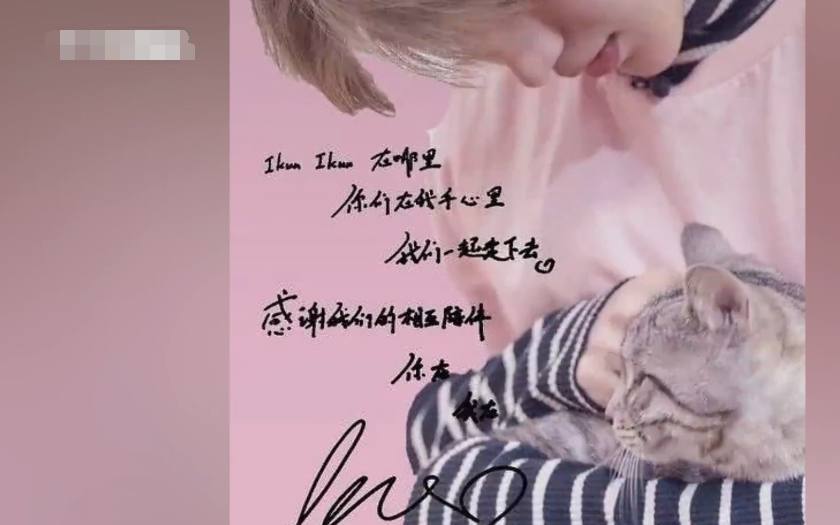 男神的字一言难尽?王俊凯还不错,李易峰也还行,蔡徐坤