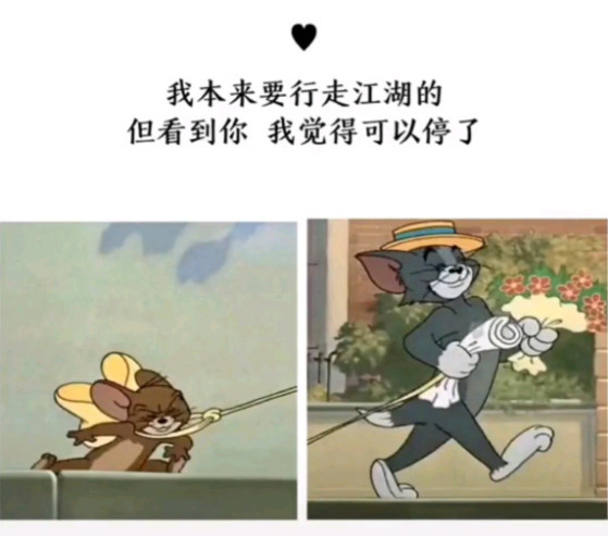 19年你值得拥有,超有爱的猫和老鼠情侣头像,这个冬天有你不冷