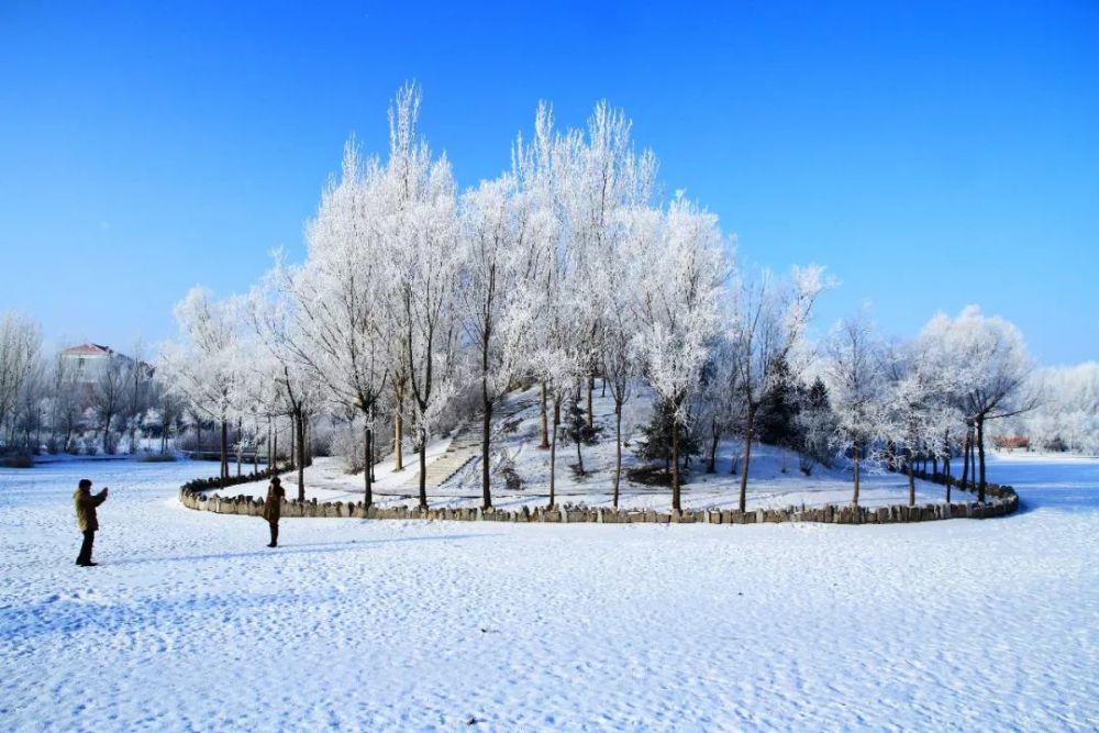 大庆 层层楼宇雪花浮,点点无声落东油.